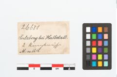 Etikett zu Bronzeringfußknopf (NHMW-PRAE-026688)